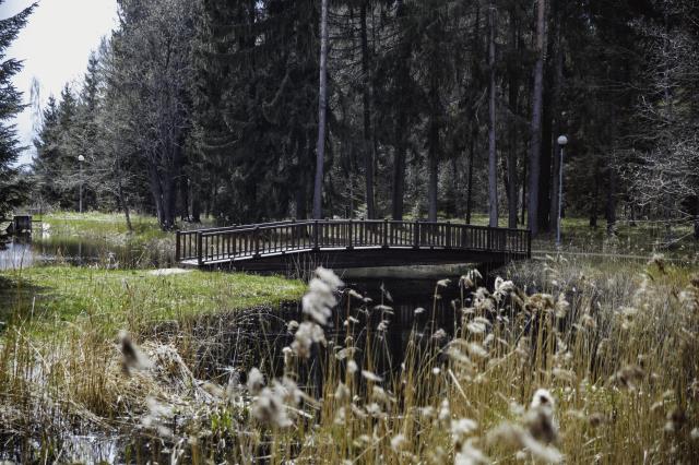 Lūznavas muižas parks